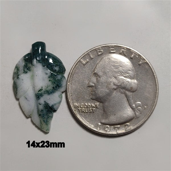 Agate|Tree Agate