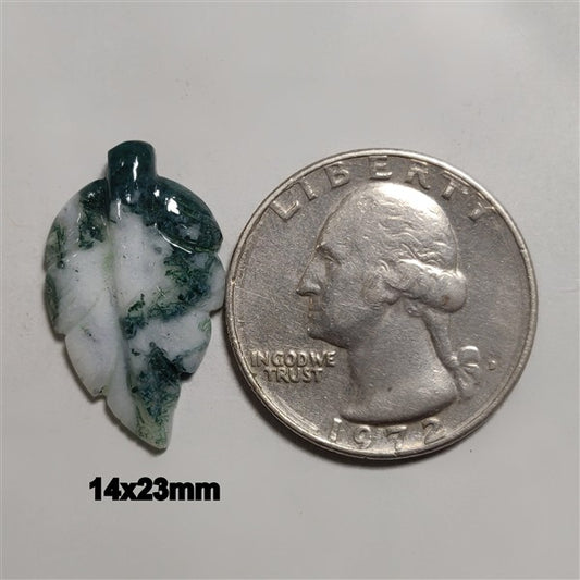 Agate|Tree Agate