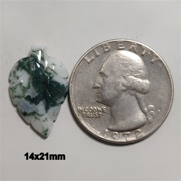 Agate|Tree Agate