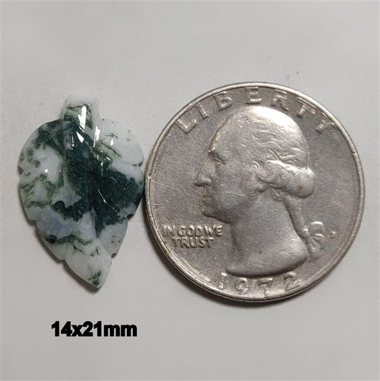 Agate|Tree Agate