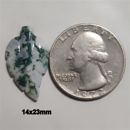 Agate|Tree Agate