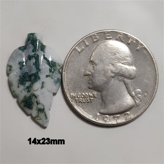 Agate|Tree Agate