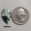 Agate|Tree Agate