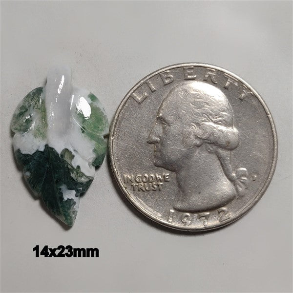 Agate|Tree Agate