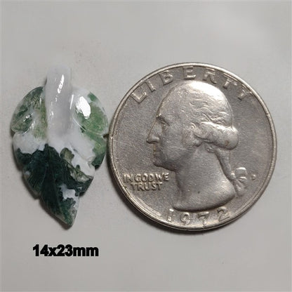 Agate|Tree Agate
