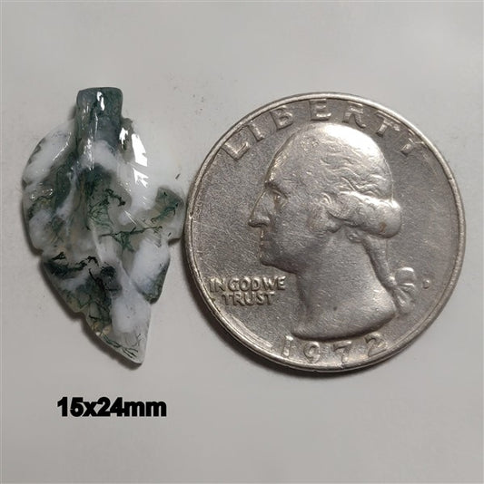 Agate|Tree Agate