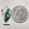 Agate|Tree Agate