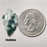 Agate|Tree Agate