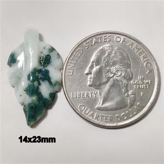 Agate|Tree Agate