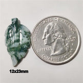 Agate|Tree Agate