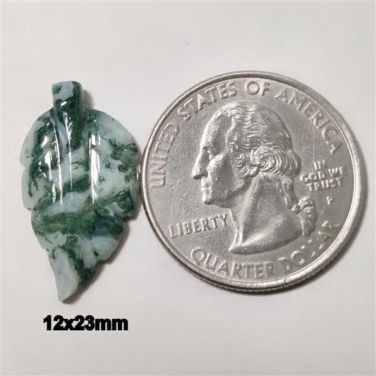 Agate|Tree Agate