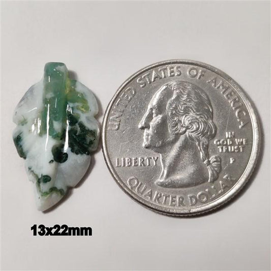 Agate|Tree Agate