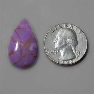 Phosphosiderite