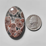 Obsidian|Peanut Obsidian