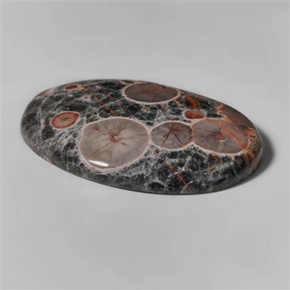 Obsidian|Peanut Obsidian