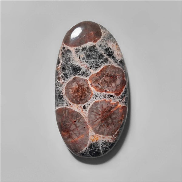 Obsidian|Peanut Obsidian
