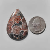 Obsidian|Peanut Obsidian
