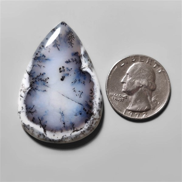 Agate|Dendritic Agate