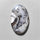 Agate|Dendritic Agate