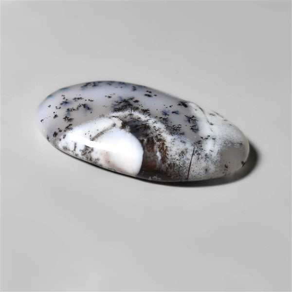 Agate|Dendritic Agate