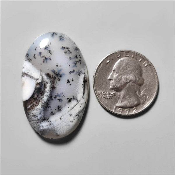 Agate|Dendritic Agate