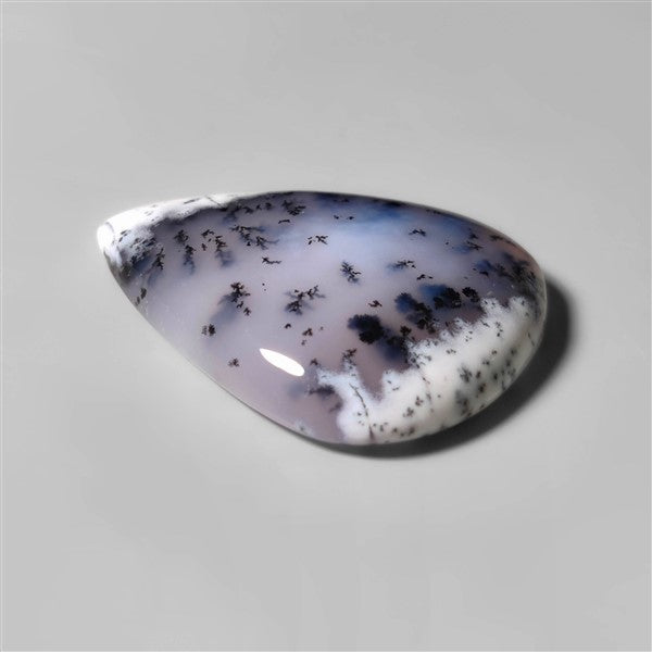 Agate|Dendritic Agate