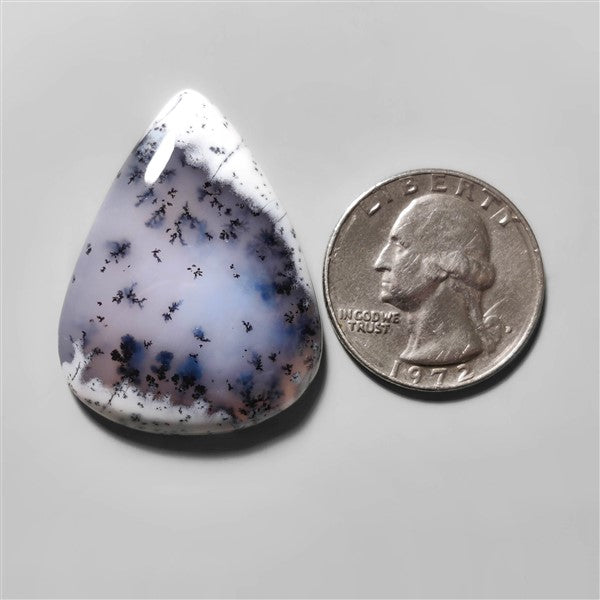 Agate|Dendritic Agate