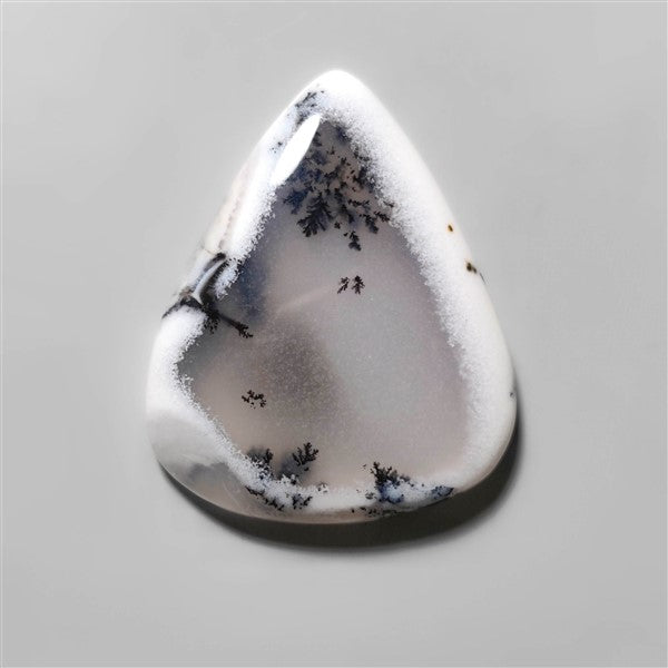 Agate|Dendritic Agate