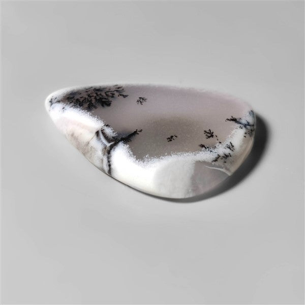 Agate|Dendritic Agate