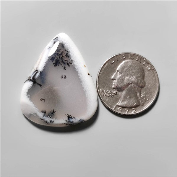 Agate|Dendritic Agate