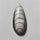 Orthoceras Fossil