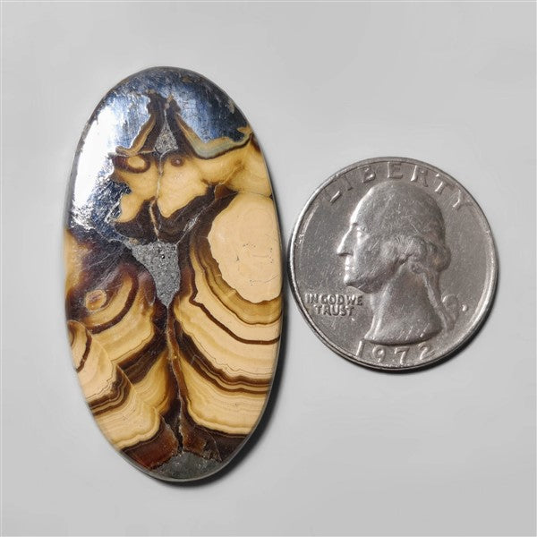 Schalenblende