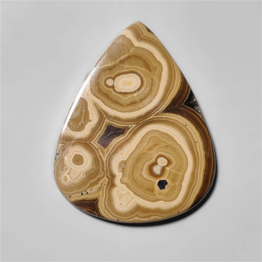Schalenblende