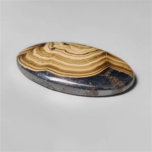 Schalenblende