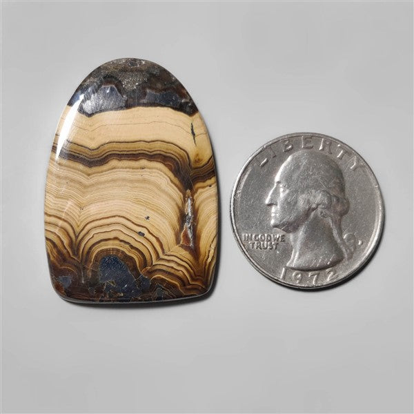 Schalenblende