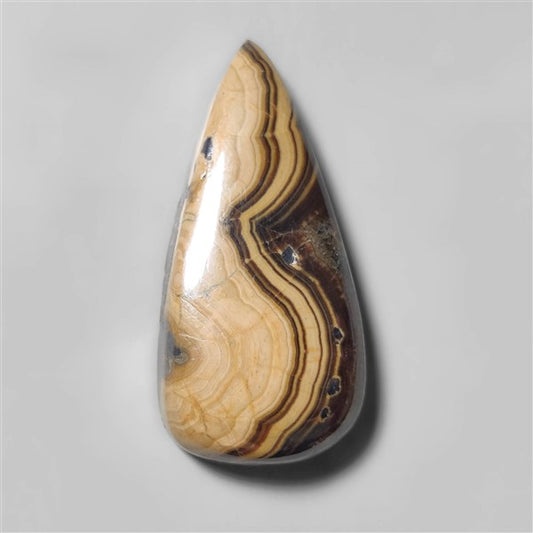 Schalenblende