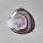 Agate|Botswana Agate