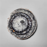 Orthoceras Fossil