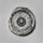 Orthoceras Fossil