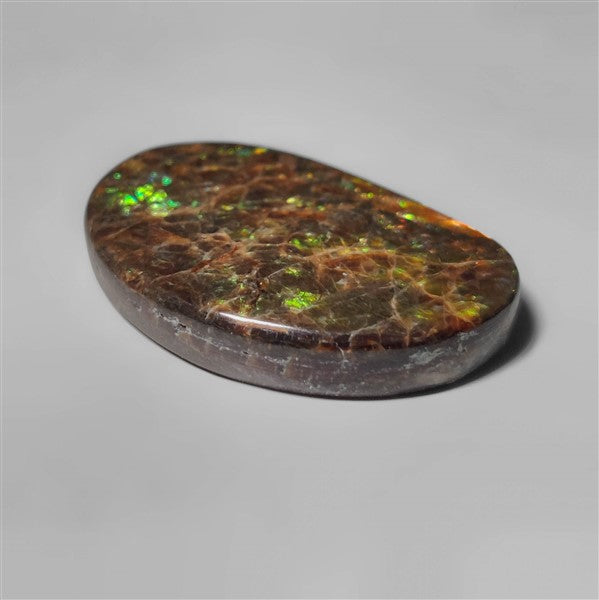 Ammolite