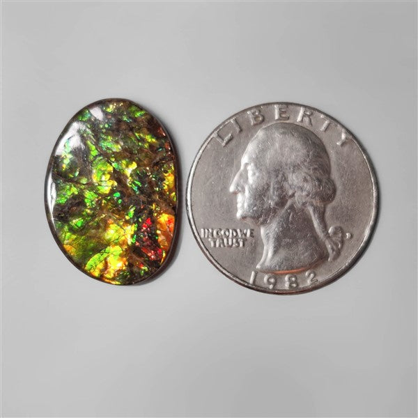 Ammolite