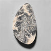 Dendritic Agate