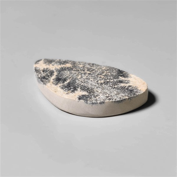 Dendritic Agate