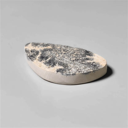Dendritic Agate