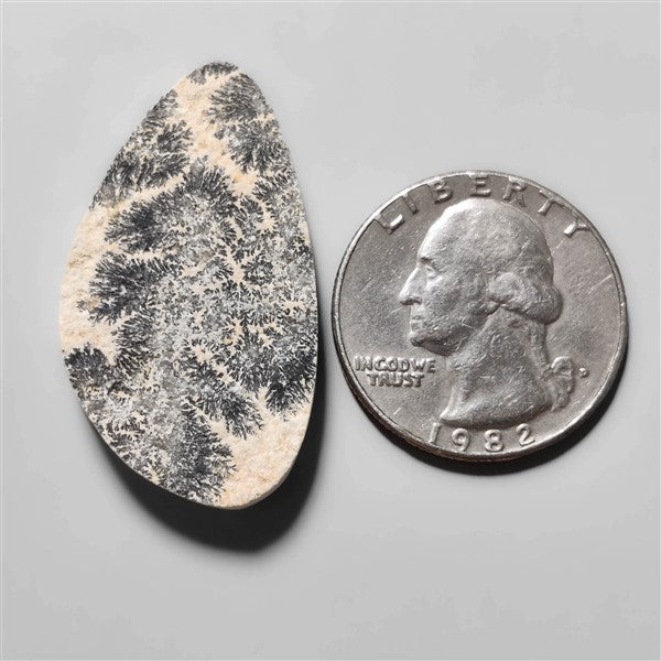Dendritic Agate