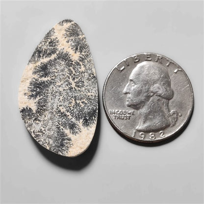 Dendritic Agate