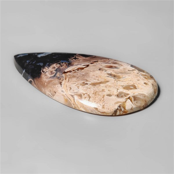 Palmroot
