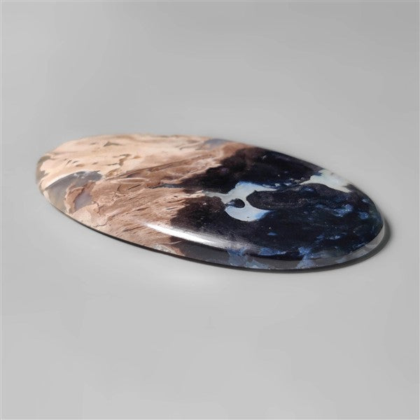 Palmroot
