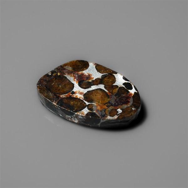 Rare Pallasite Meteorite