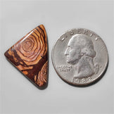 Polychrome Jasper